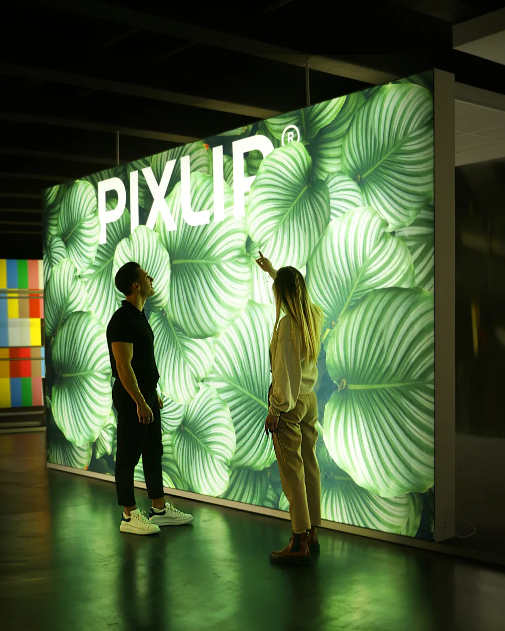 Systemy oświetleniowe Pixlip